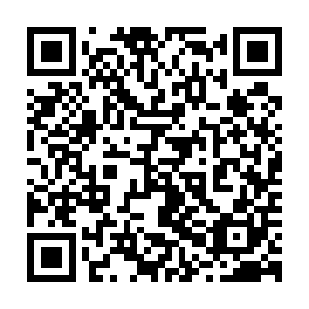 QR code for plate 20C 500