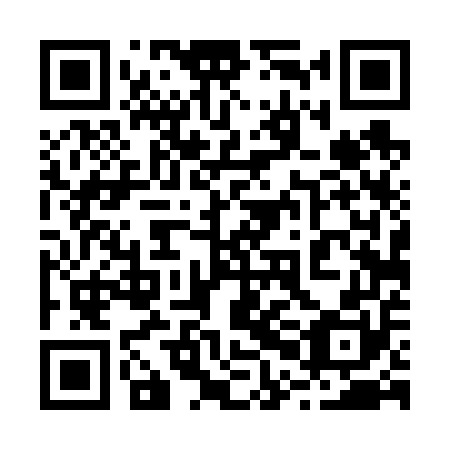 QR code for 20D650