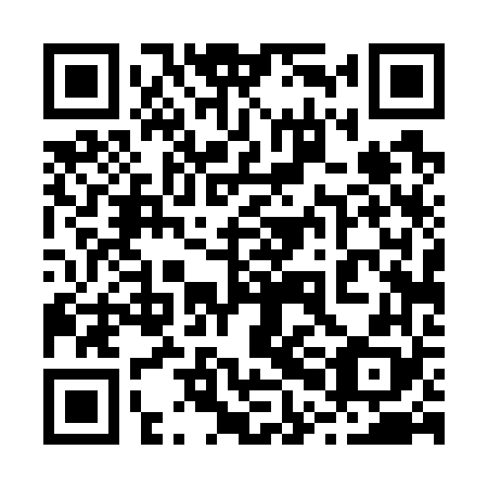 QR code for plate 20D 768