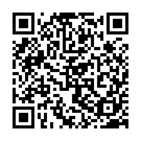 QR code for plate 20G 950