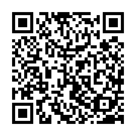 QR code for plate 20H 509