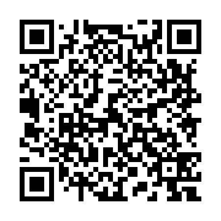 QR code for plate 20H 939
