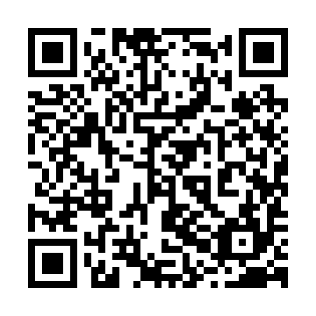 QR code for plate 20I 294