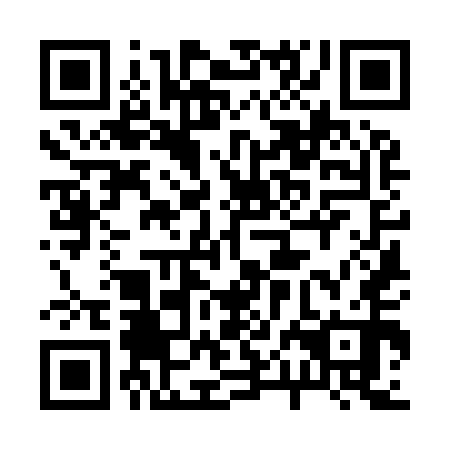 QR code for plate 20K 950