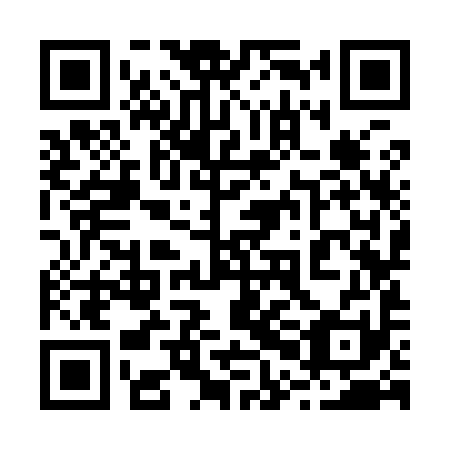 QR code for plate 20K 991