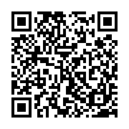 QR code for 20M 597