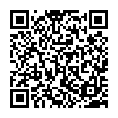 QR code for 20N 593