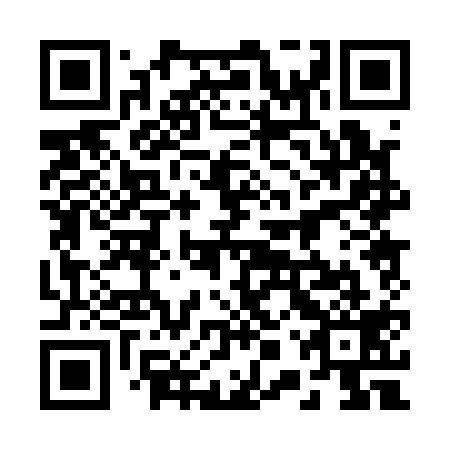 QR code for 20P 119