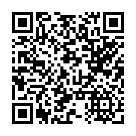 QR code for 20P 217