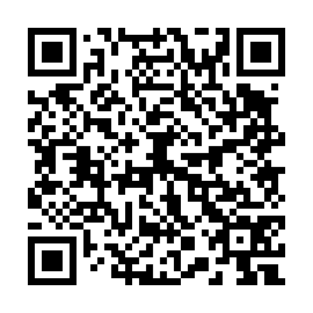 QR code for 20P 474