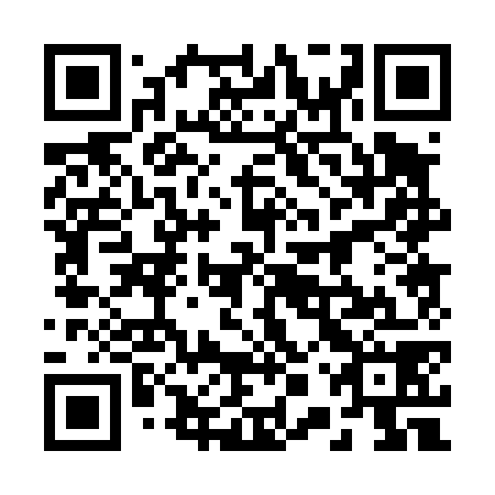 QR code for 20P 478