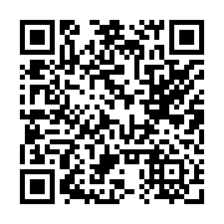 QR code for 20P 811