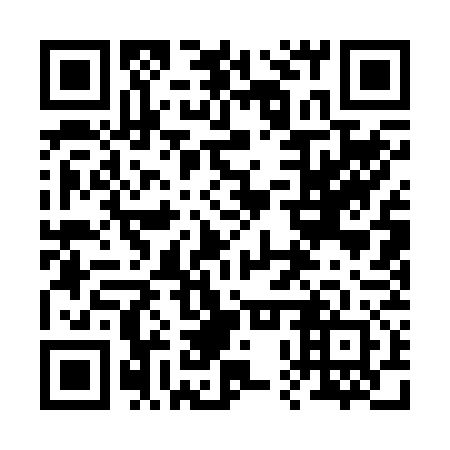 QR code for 20Q 272