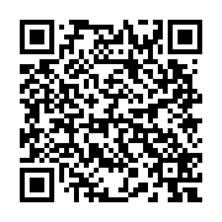 QR code for 20Q 729