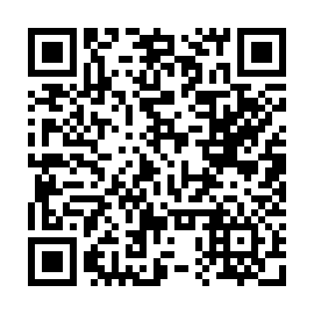 QR code for 20Q336