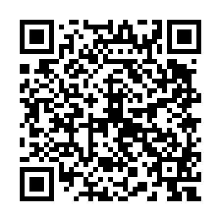 QR code for 20Q481