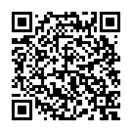 QR code for 20R 335