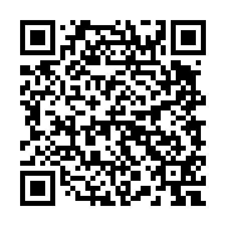 QR code for 20T 411