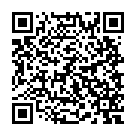 QR code for plate 20T 755