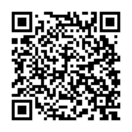 QR code for 20V 313