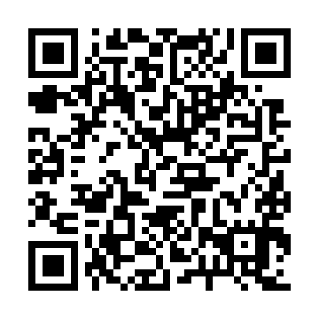 QR code for 20V 795