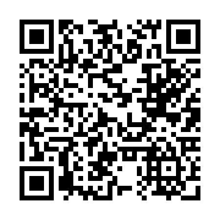 QR code for plate 20V 325
