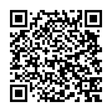 QR code for plate 20W 438