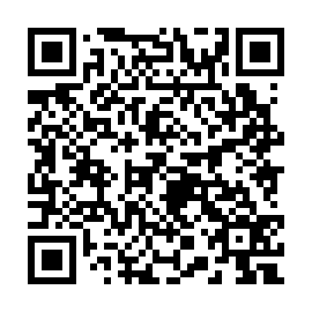 QR code for 20X 336