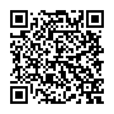 QR code for 20X533