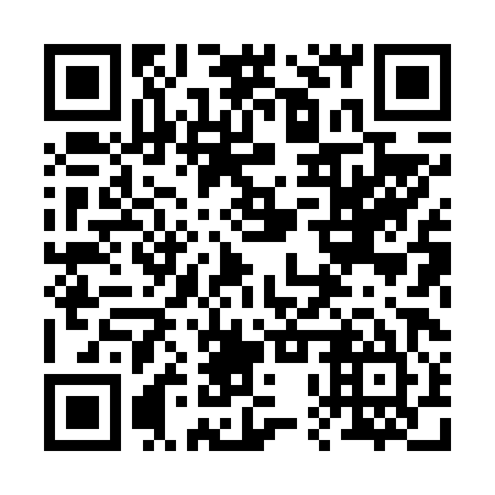 QR code for plate 20X 685