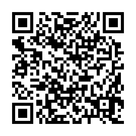 QR code for 21Q 386