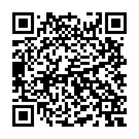 QR code for plate 21Z 523