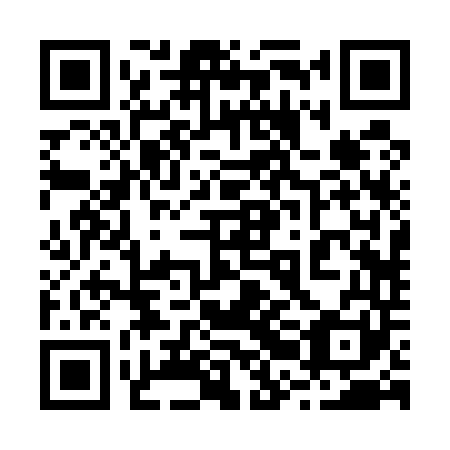QR code for plate 22B 541