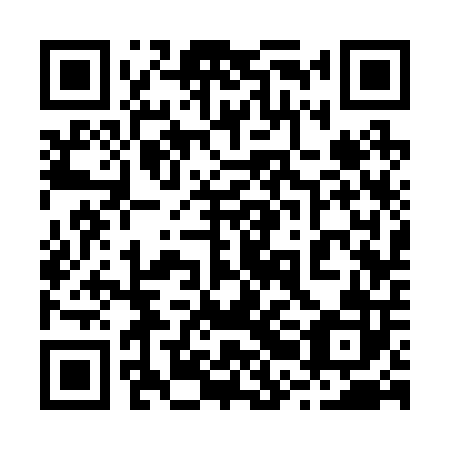 QR code for plate 22C 202