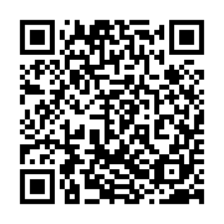 QR code for plate 22C 850