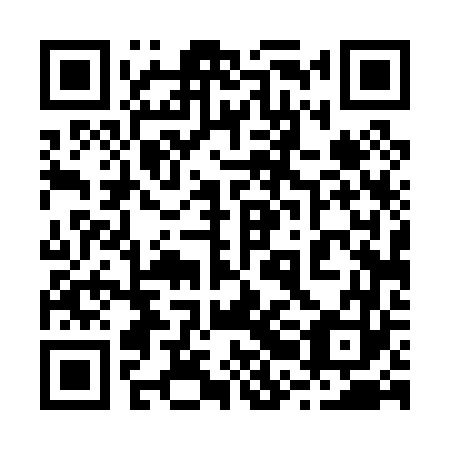 QR code for plate 22D 063