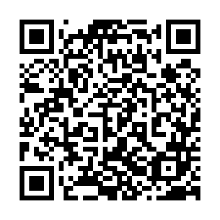 QR code for plate 22G 542