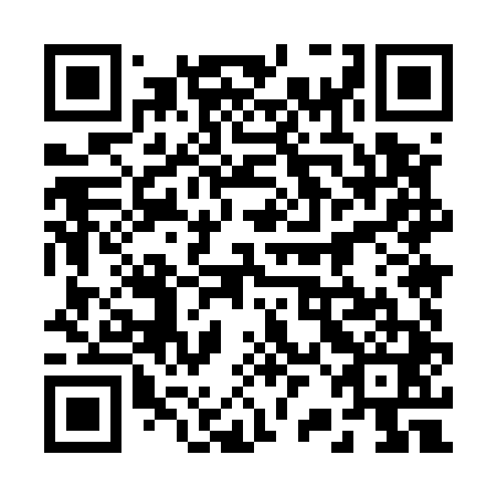 QR code for plate 22M 541