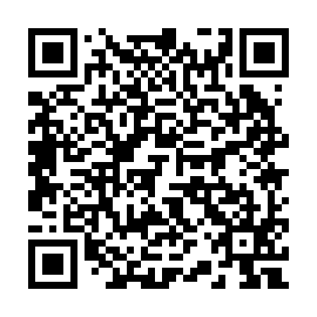 QR code for 22Q 295