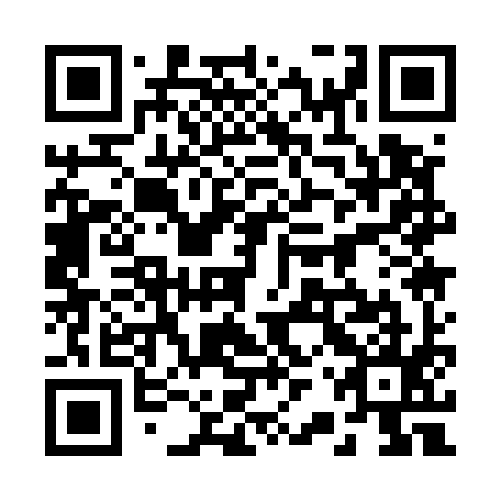 QR code for plate 22Q 595