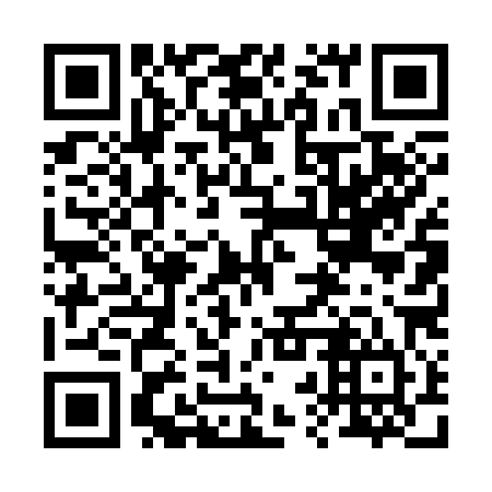 QR code for 22T 384