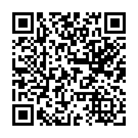 QR code for plate 22Z 311