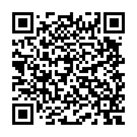 QR code for plate 23G 496