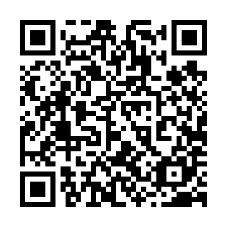 QR code for plate 23T 685
