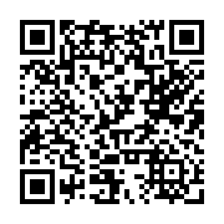 QR code for 23X 311