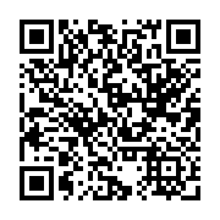 QR code for 24P 333