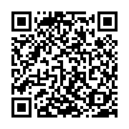 QR code for plate 24Y 029