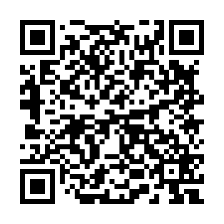 QR code for plate 25A 869