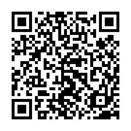 QR code for plate 25Q 413
