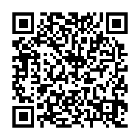 QR code for plate 25V 333